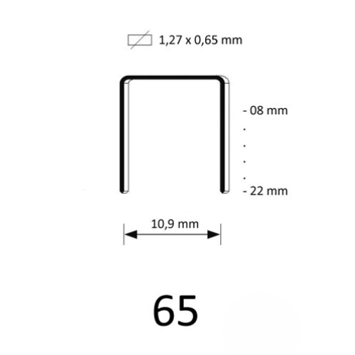 65 Staple, different lengths